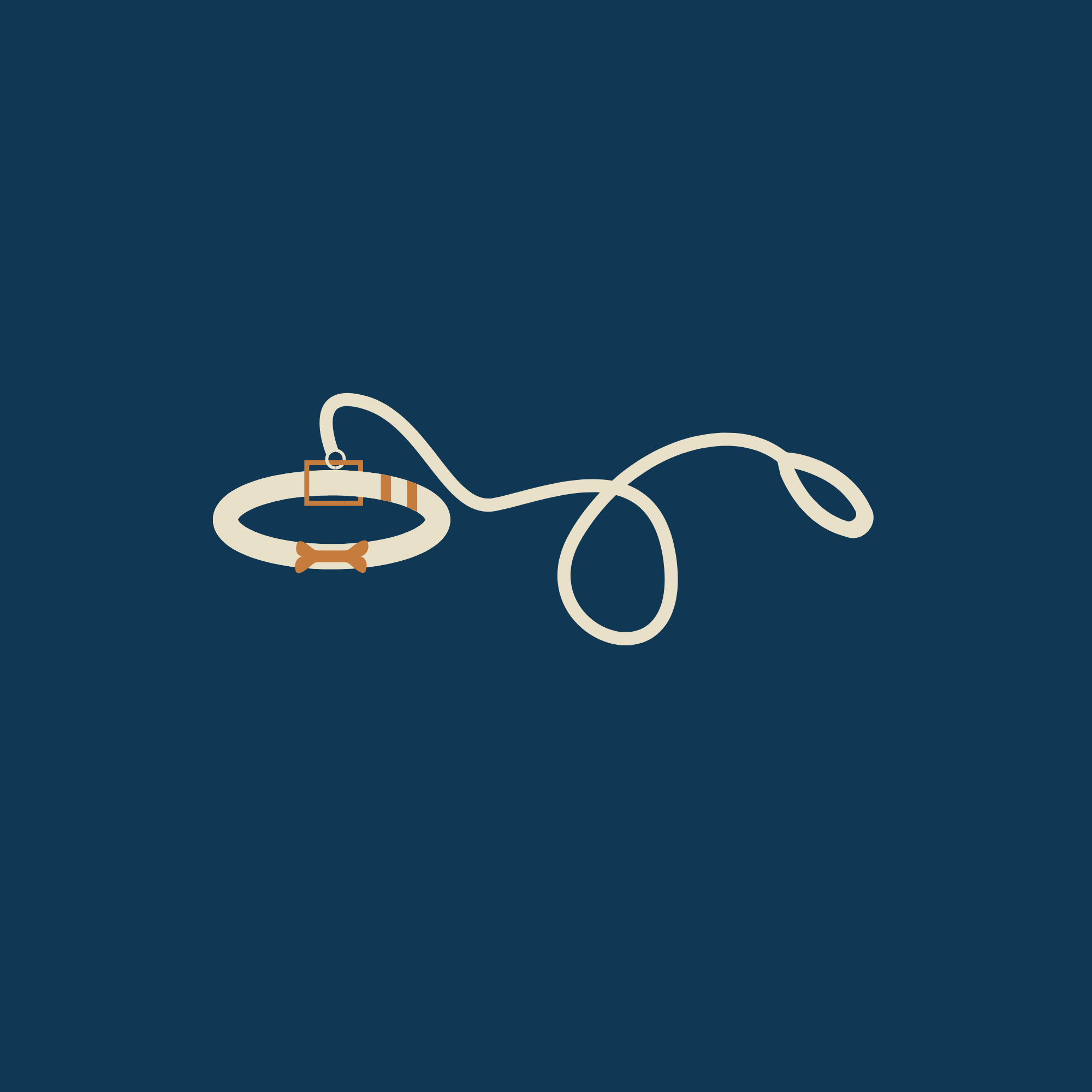 Collars & Leashes