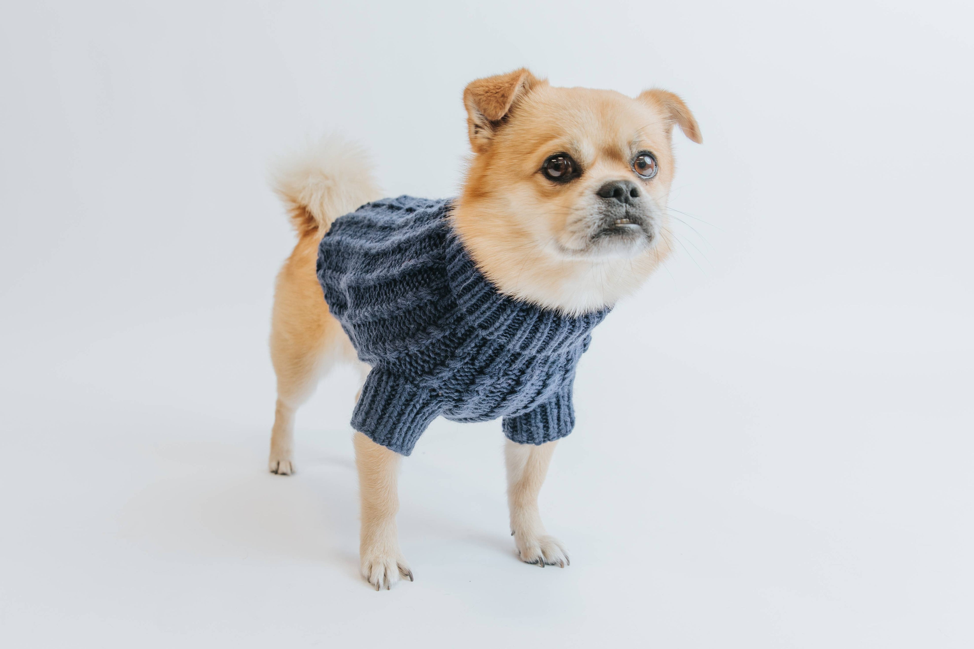 Dog Cable Knit Sweater - Navy