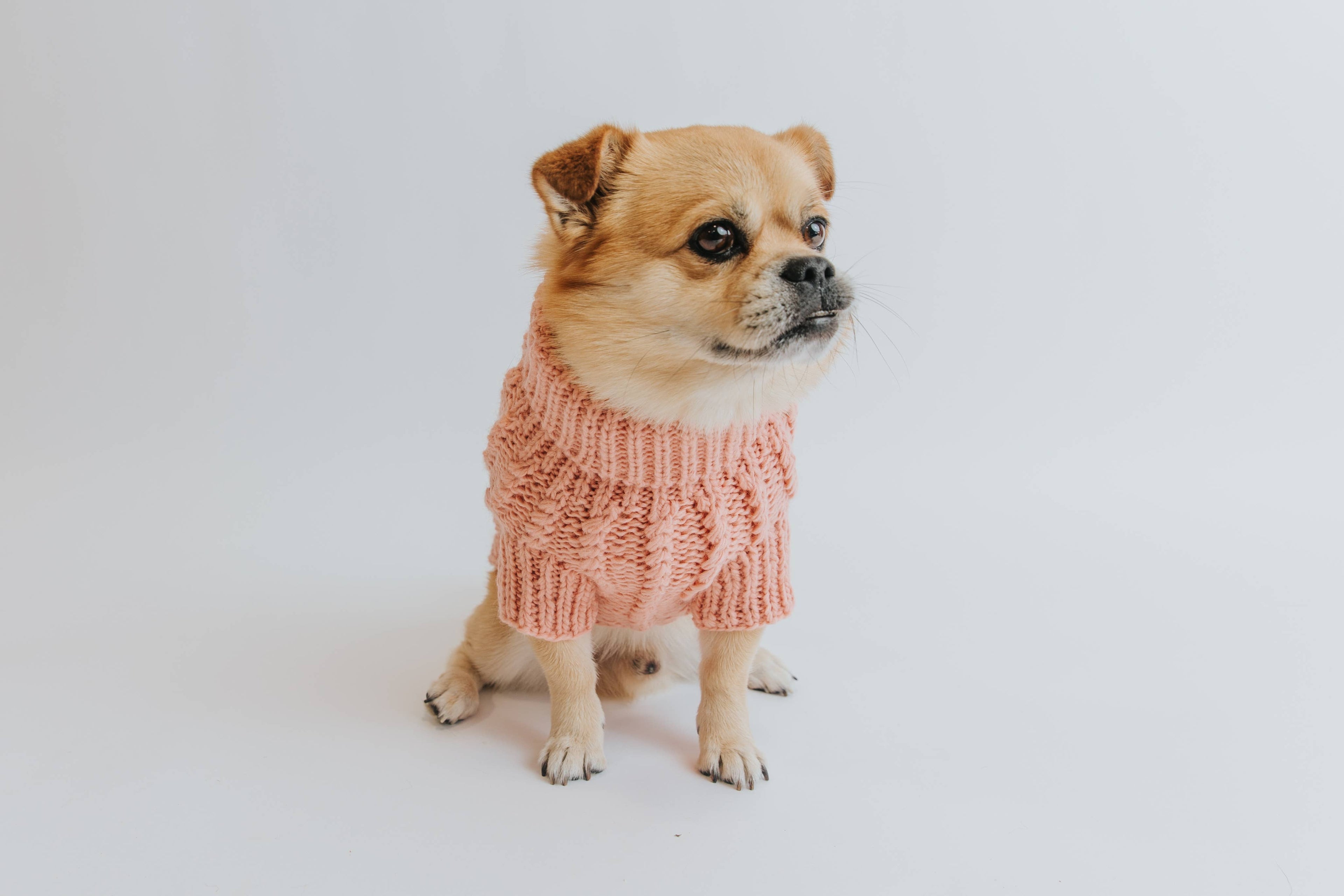 Dog Cable Knit Sweater - Pink