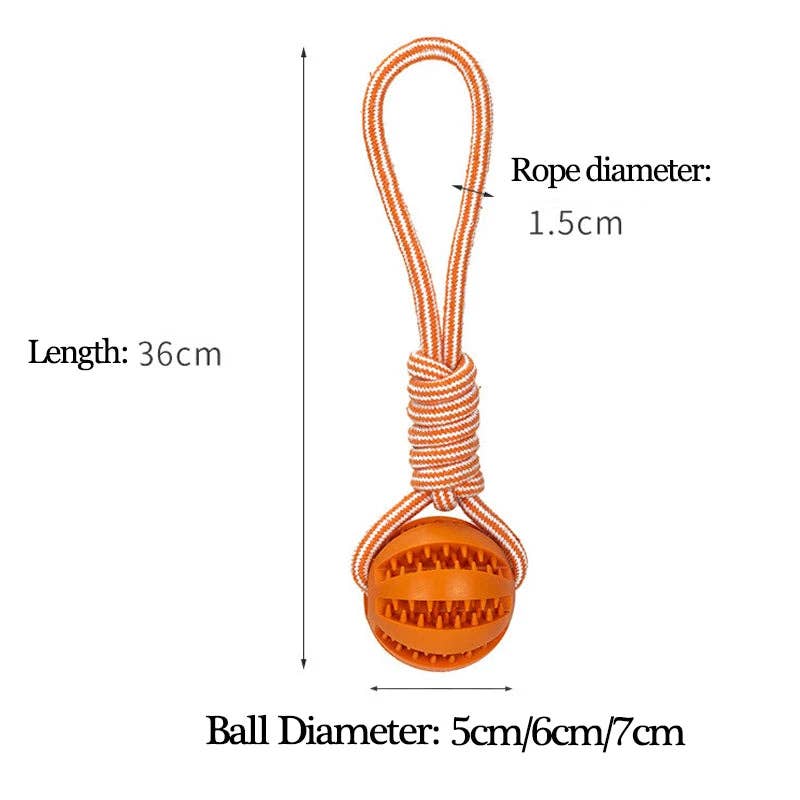 Dog Ball Toy with Rope Interactive