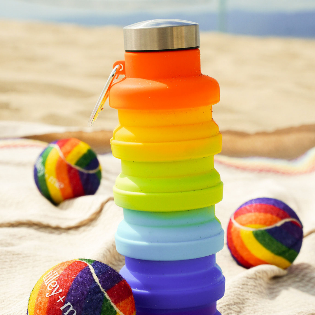 Collapsible Water Bottle with Clip