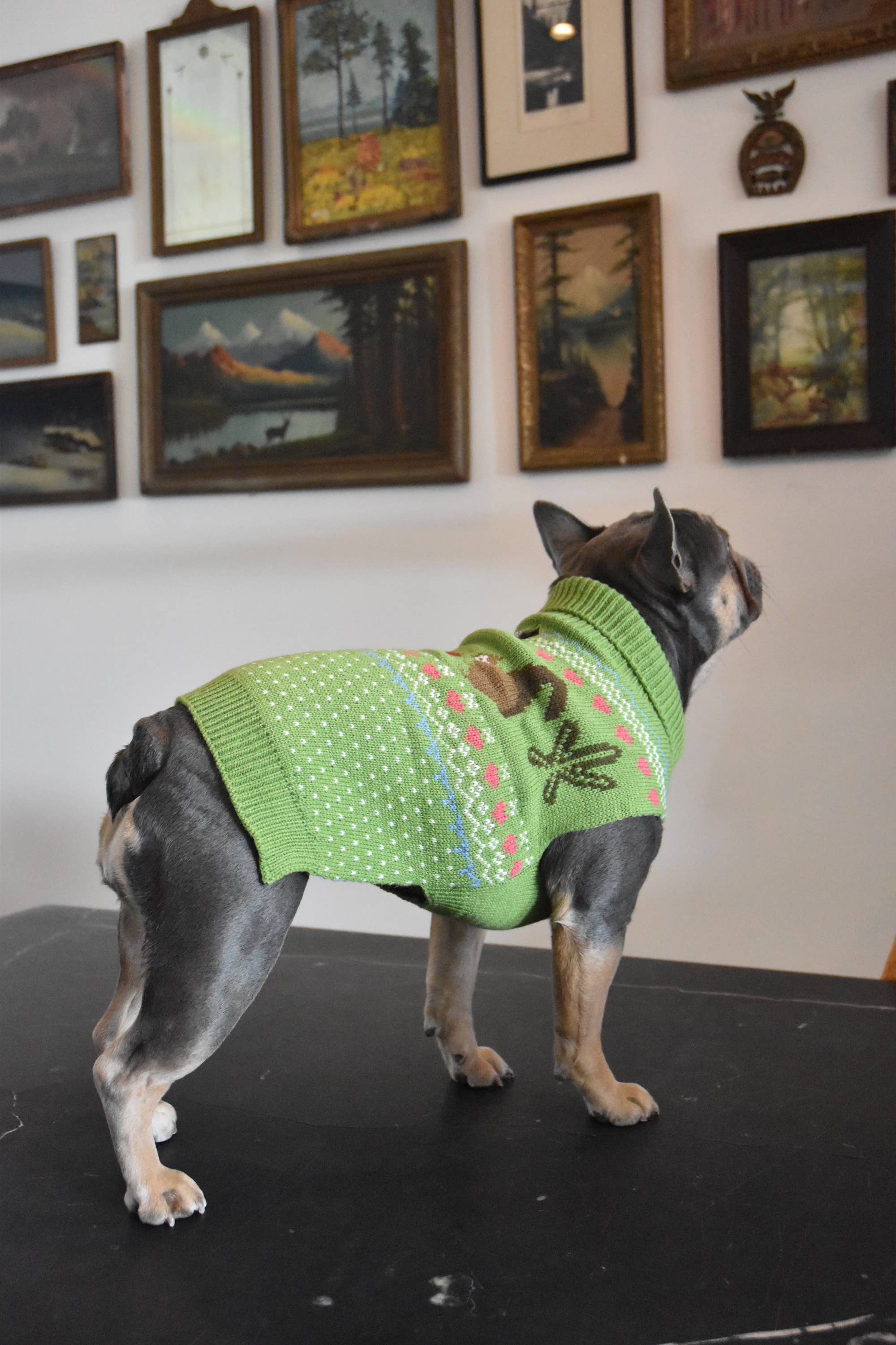 Fernfield Squirrel Sweater