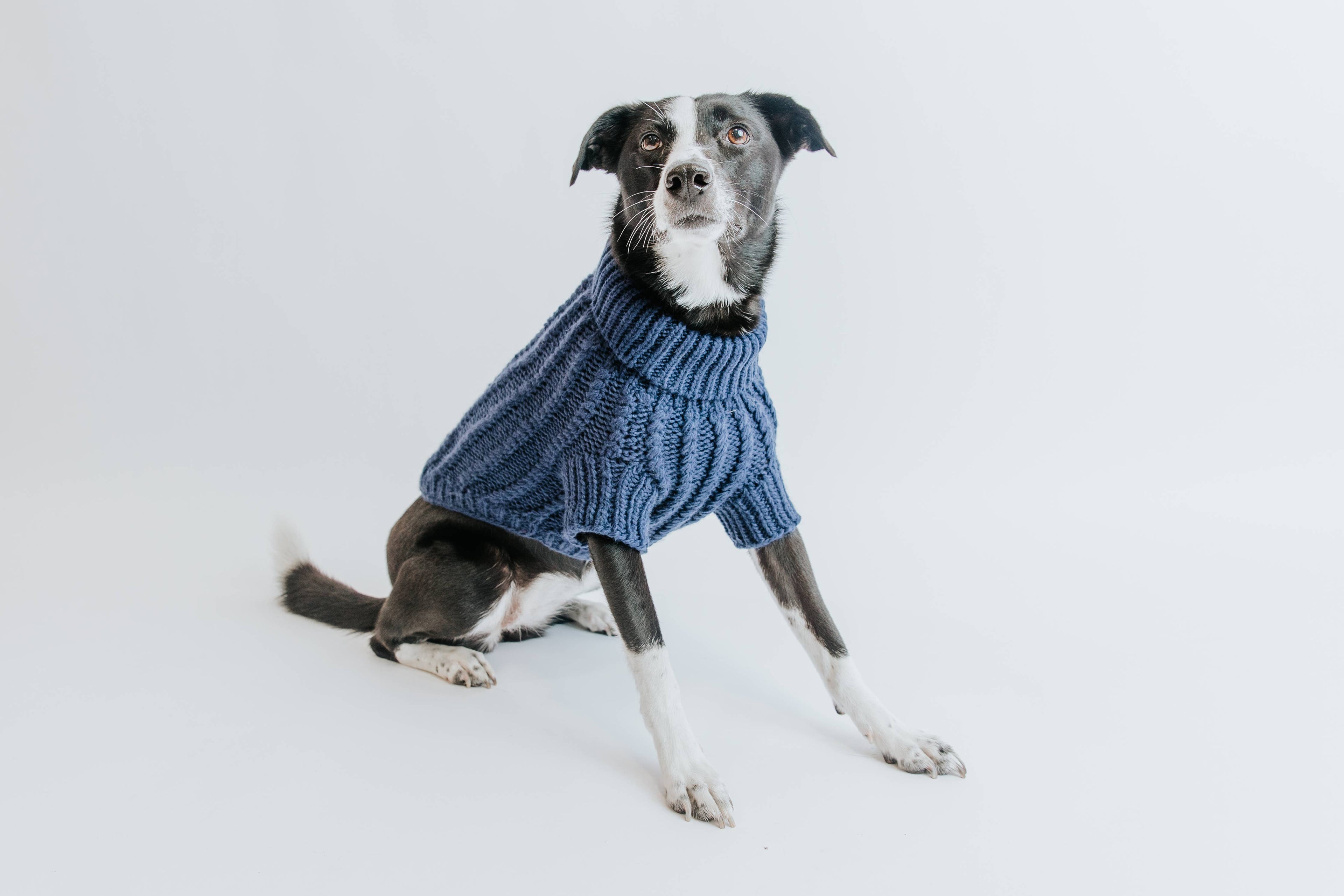 Dog Cable Knit Sweater - Navy