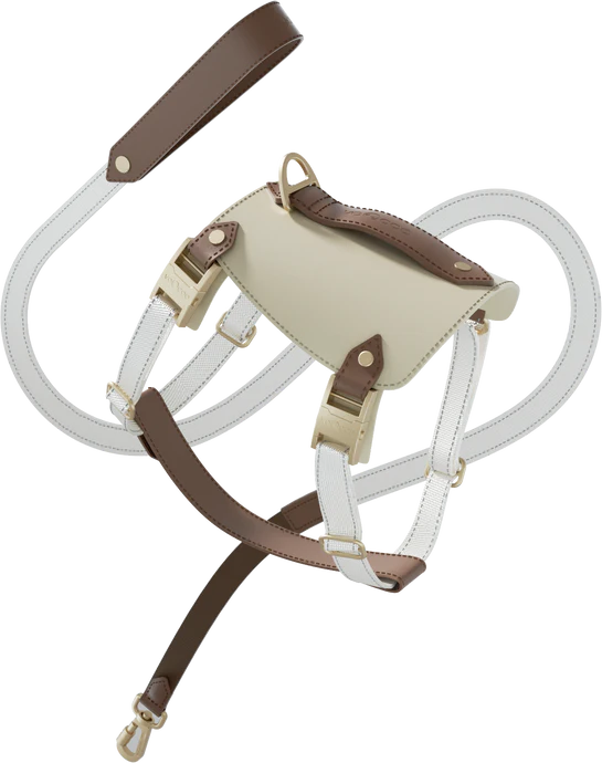 Voocoo Dog Harness Set- Cream/Oat color