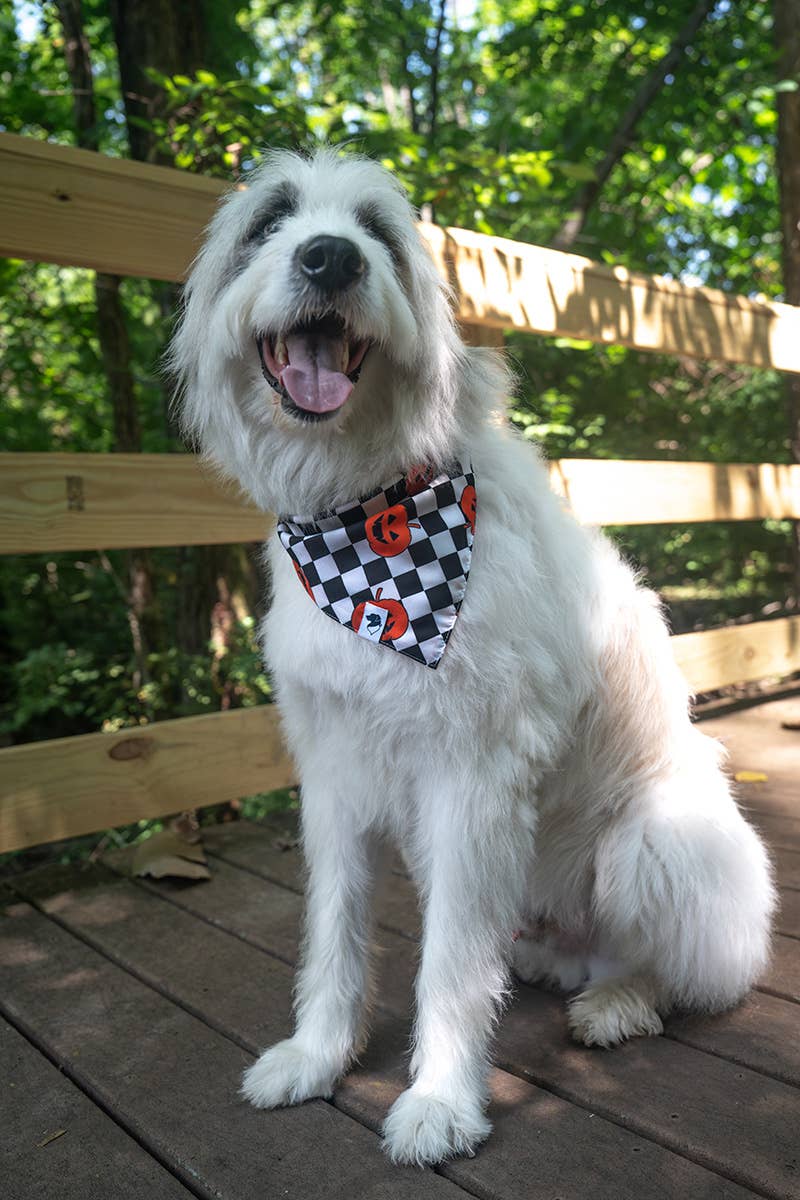 Halloween Plaid Dog Bandana