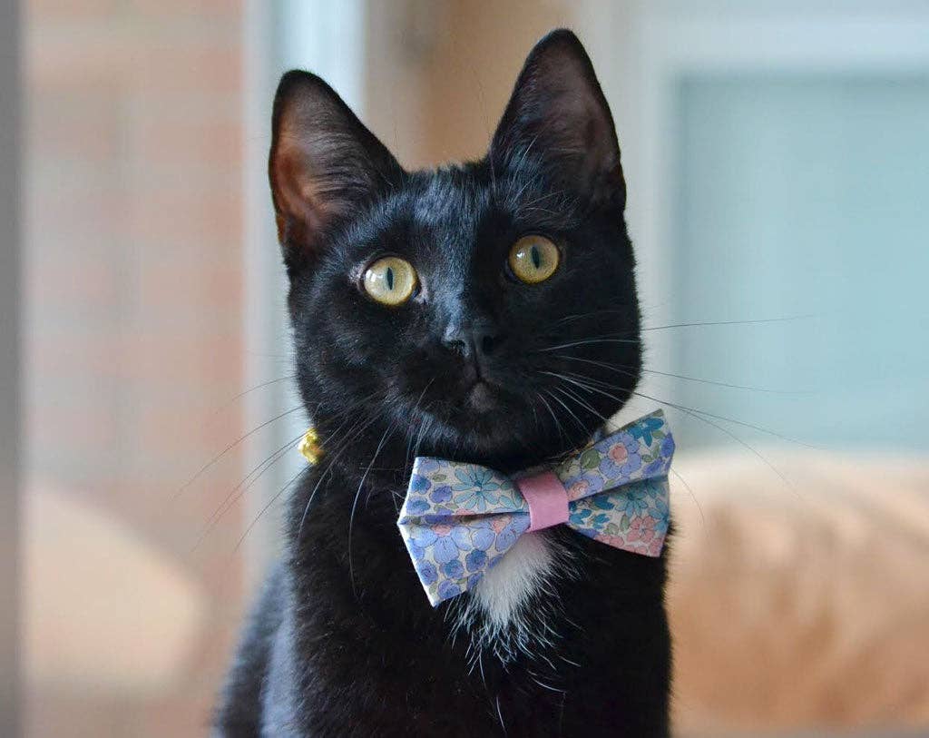 "Willow" - Bow Tie for Cats + Small Dogs