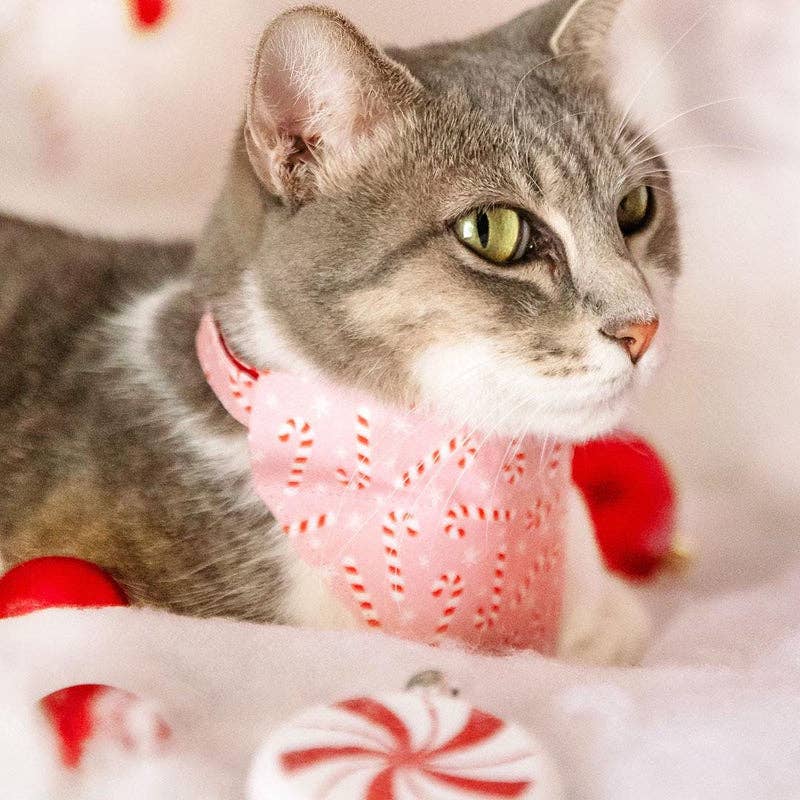 "Candy Christmas" - Holiday Bandana for Cats + Small Dogs