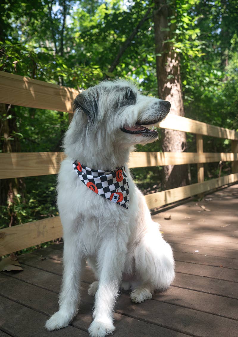 Halloween Plaid Dog Bandana