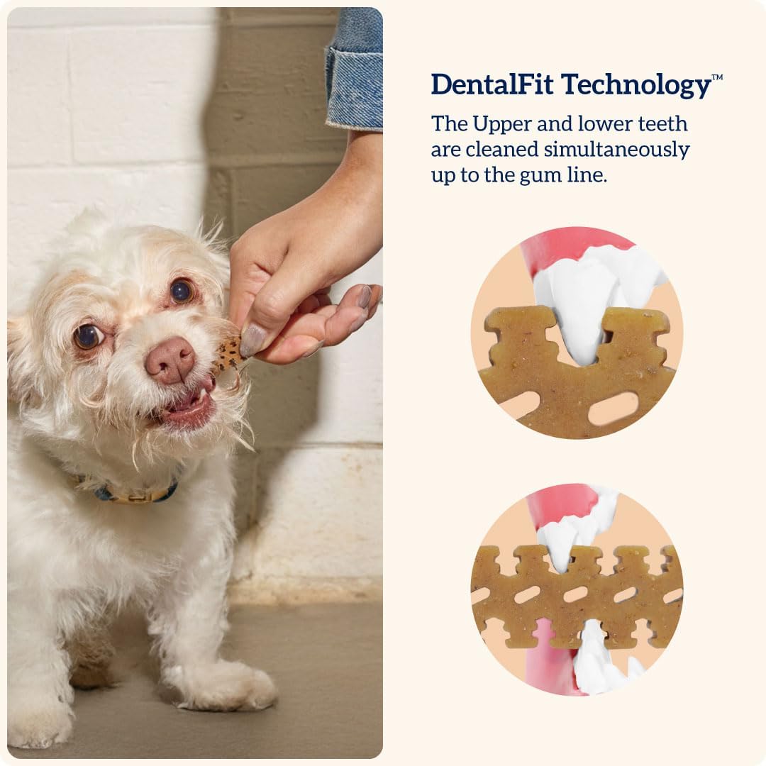 Groovies Dental Chew