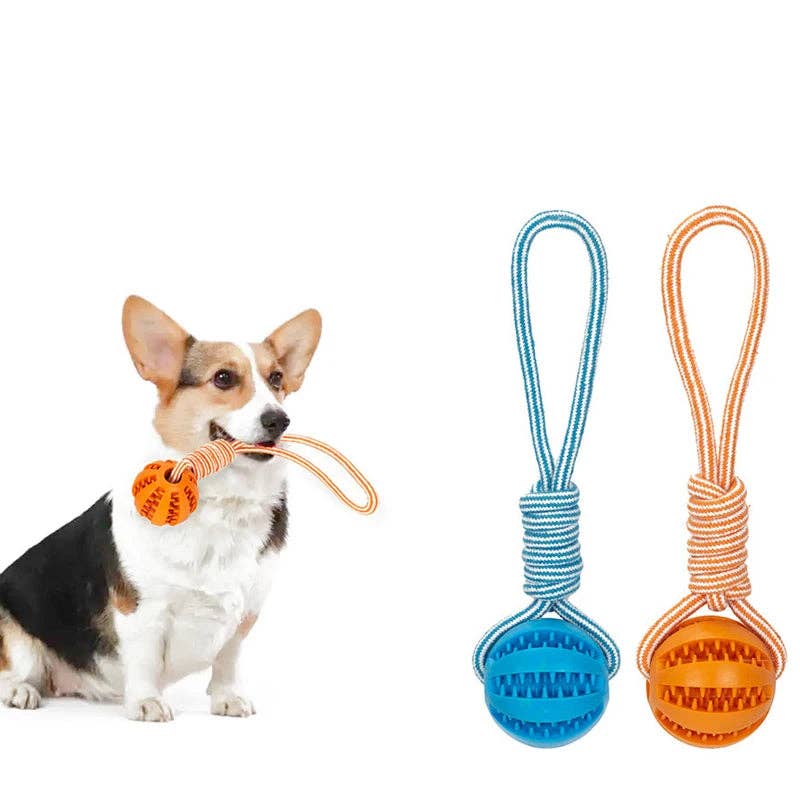 Dog Ball Toy with Rope Interactive