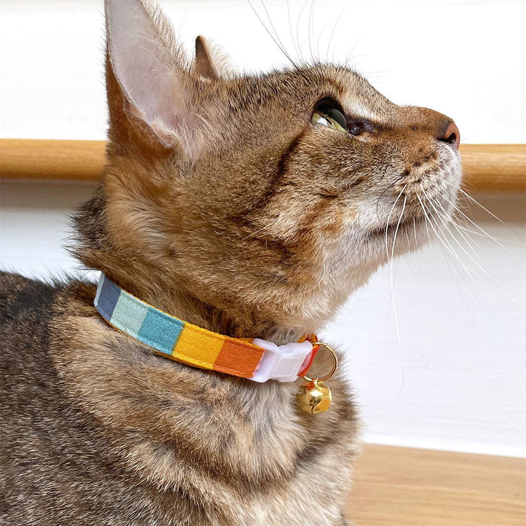"Carousel" - Striped Rainbow Cat Collar