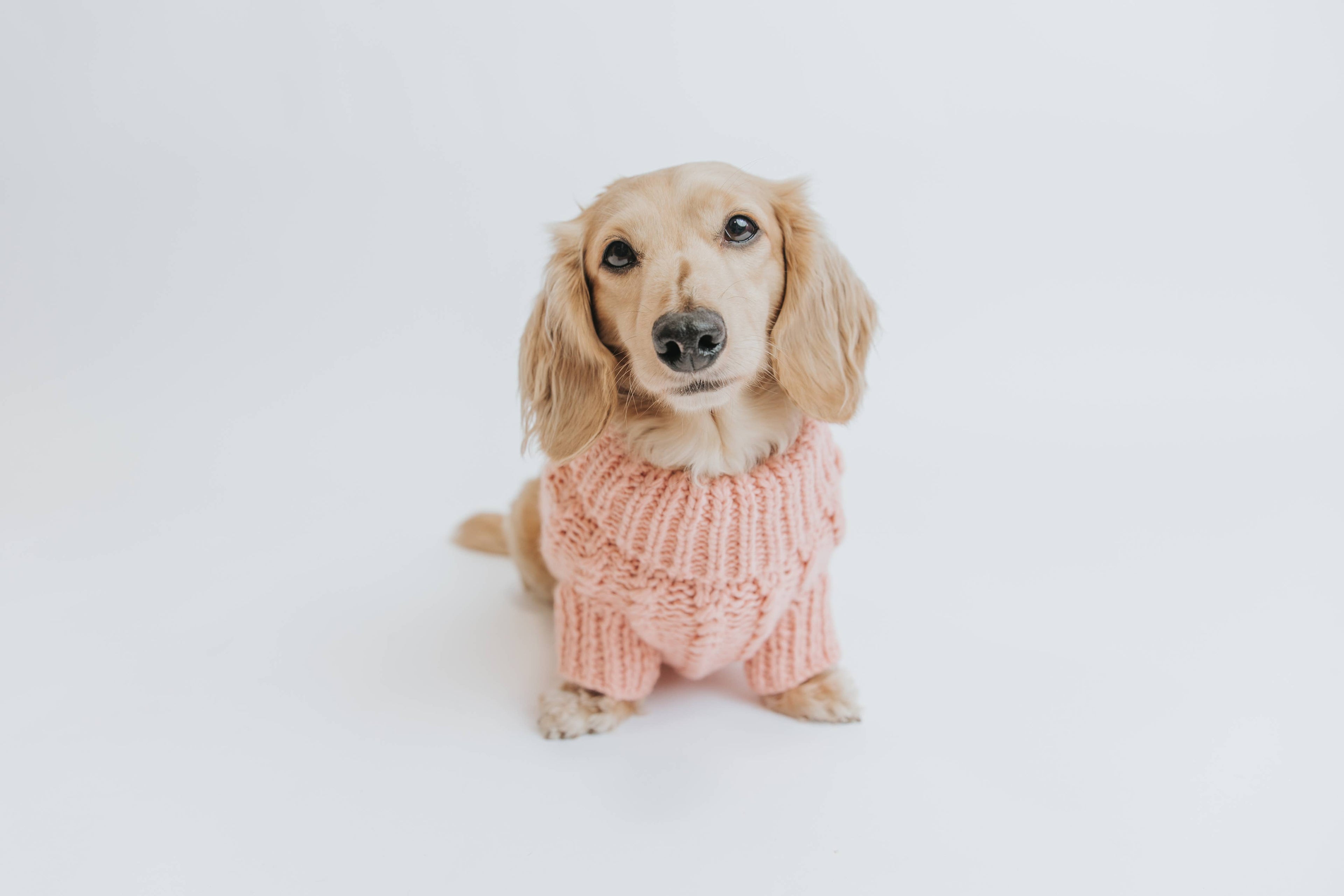 Dog Cable Knit Sweater - Pink
