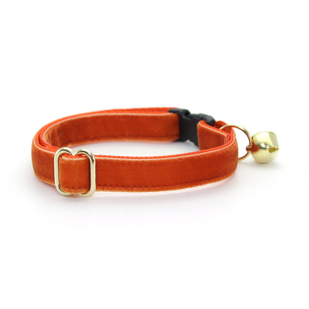 "Velvet - Roasted Pumpkin" - Burnt Orange Velvet Collar