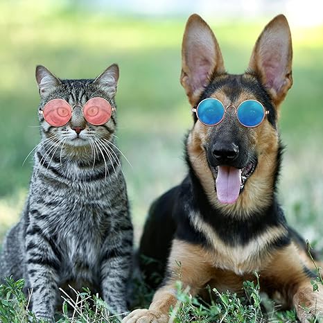 Dog Sunglasses