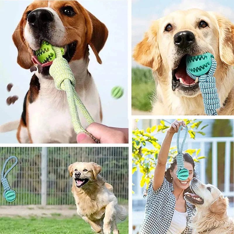 Dog Ball Toy with Rope Interactive