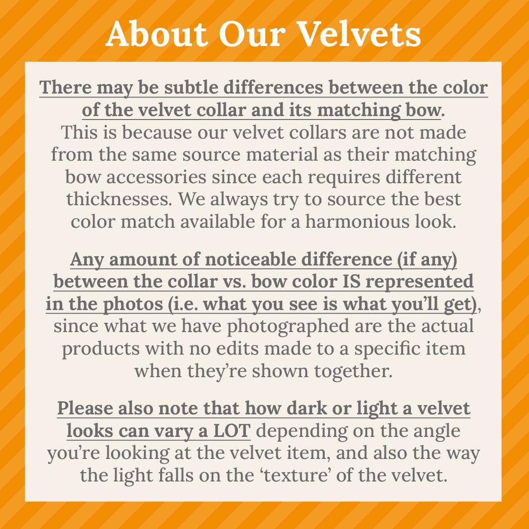 "Velvet - Seafoam" -  Cat Collar & Bunny Ear Bow Set