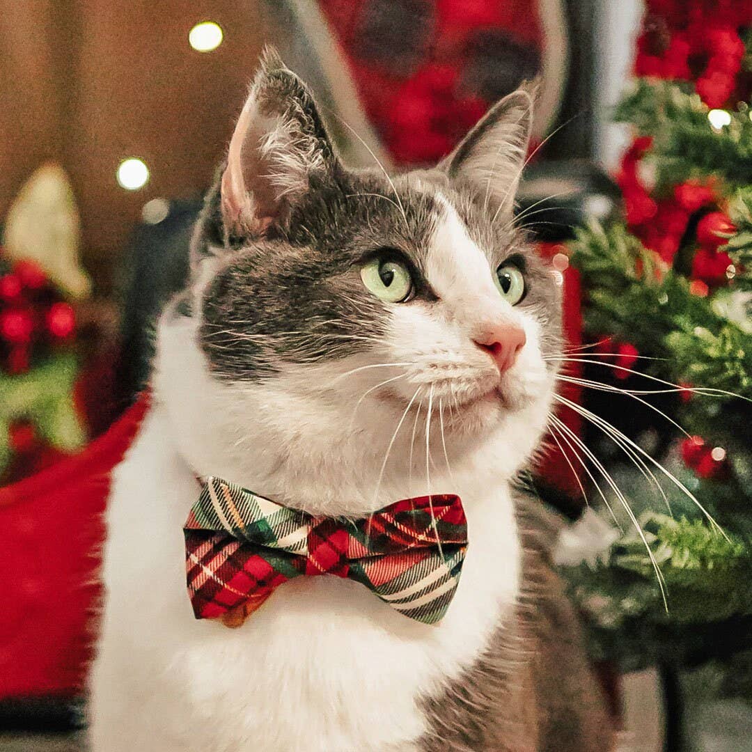 Holiday Plaid Bow Tie