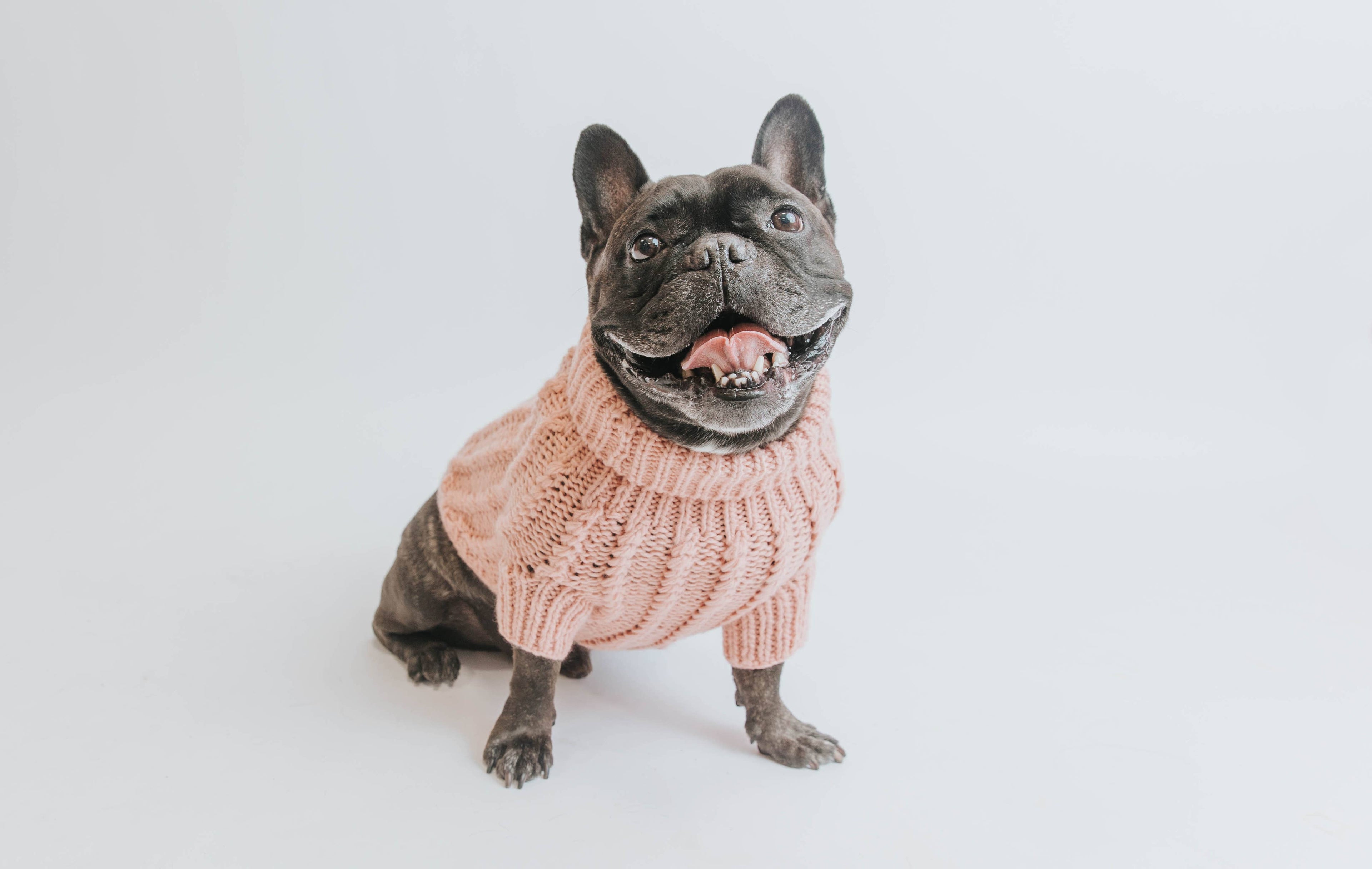 Dog Cable Knit Sweater - Pink