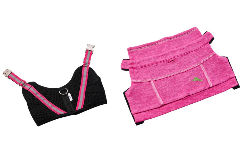 Tommy Bahama Apparel Harness Pink