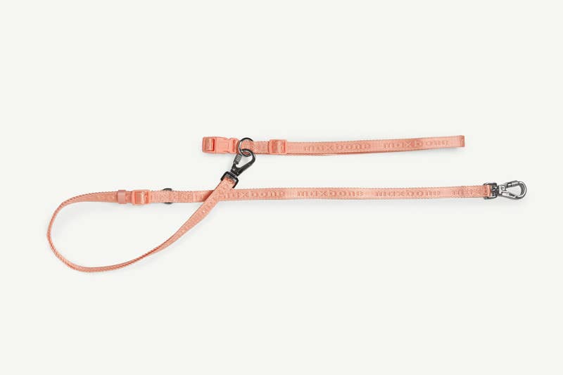 GO! With Ease Hands-Free Leash for Dogs