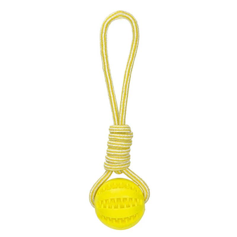 Dog Ball Toy with Rope Interactive