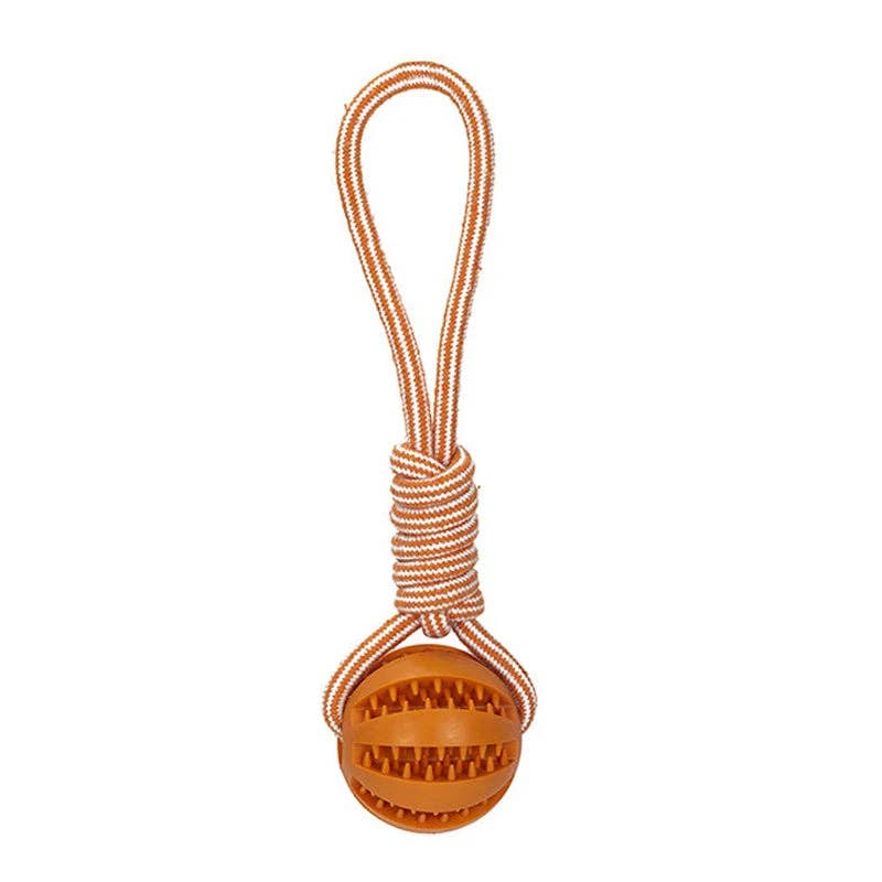 Dog Ball Toy with Rope Interactive