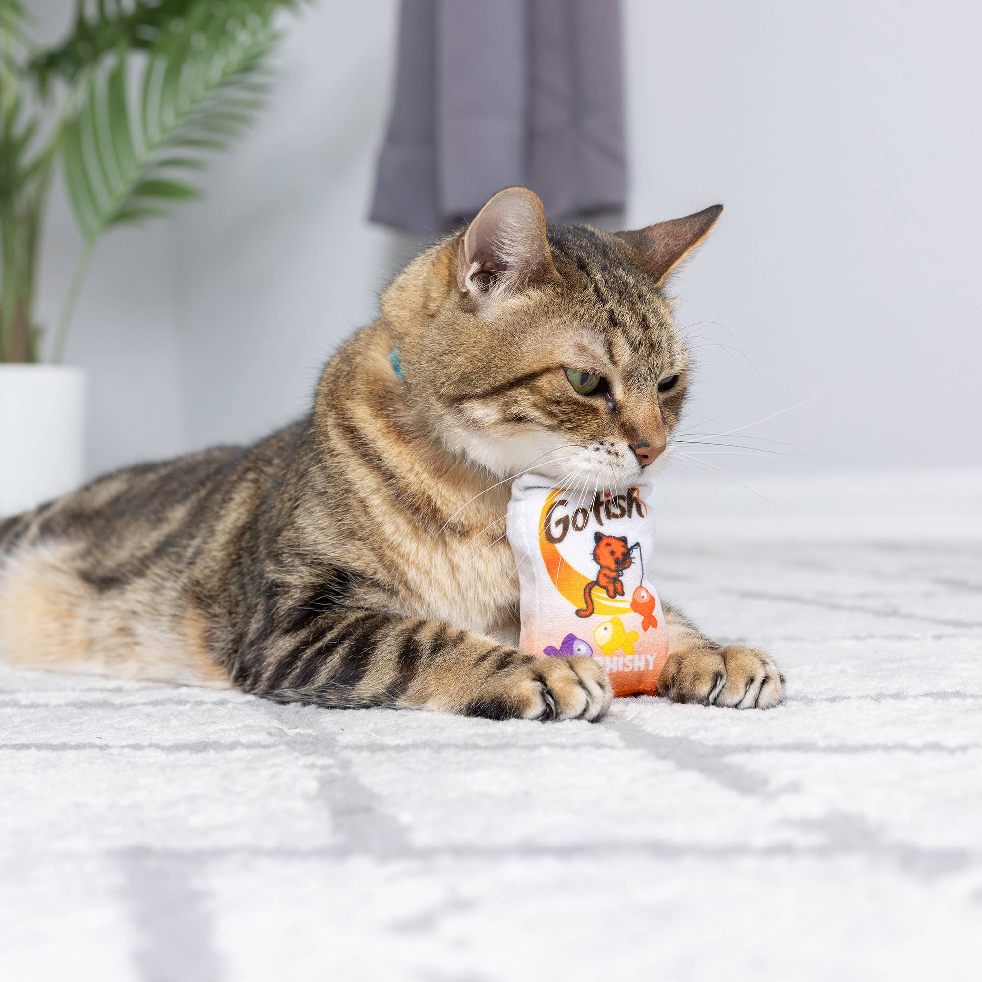 Go Fish Phishy For Cats