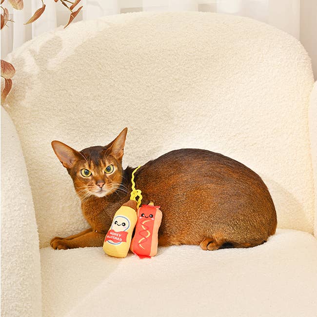 Foodie Feline  - Cat Toy