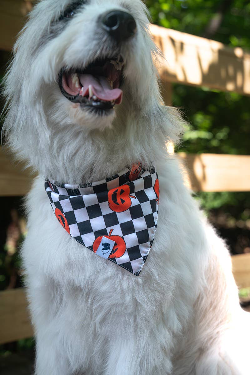 Halloween Plaid Dog Bandana