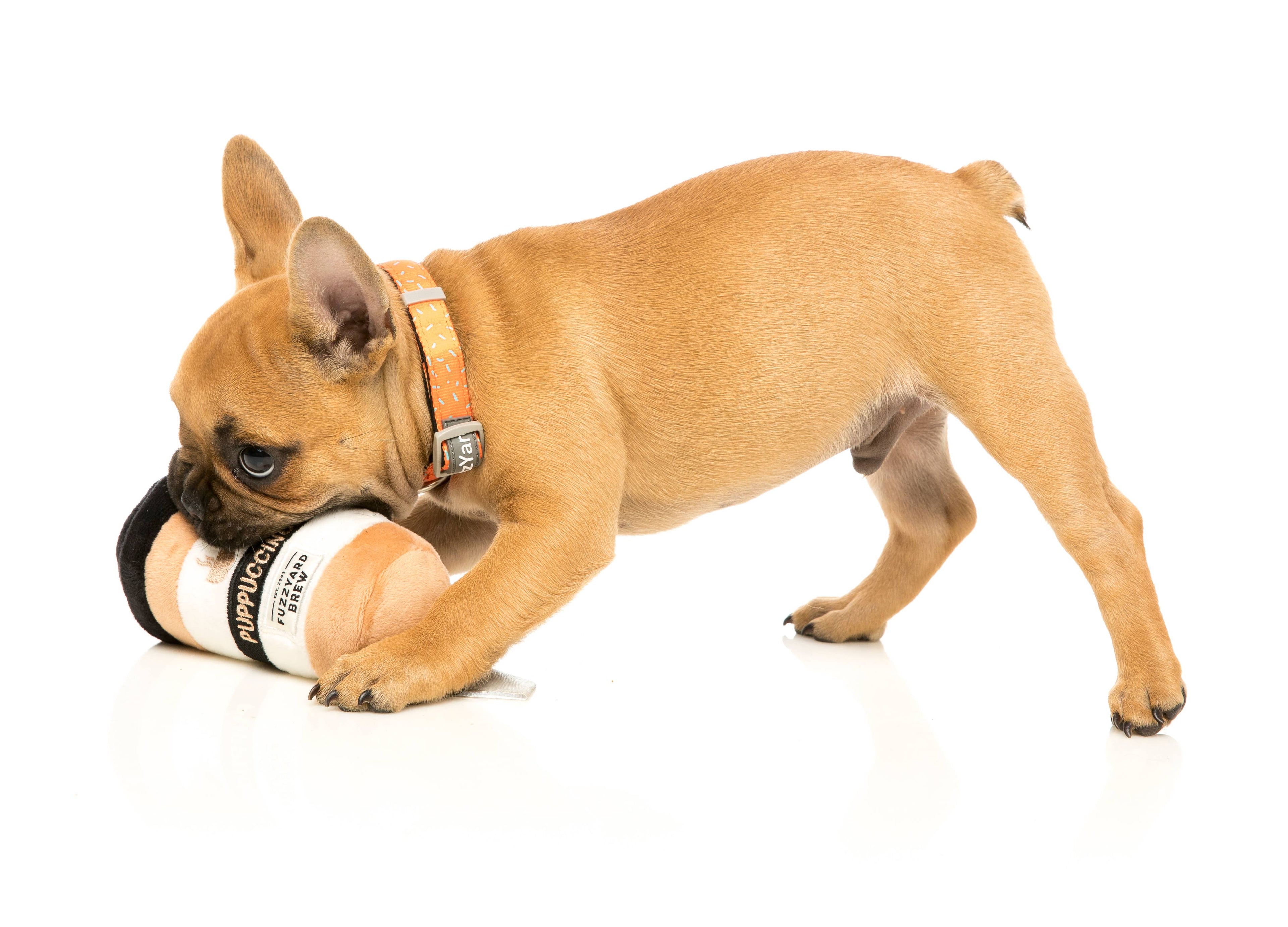 FuzzYard Dog Toy Puppuccino