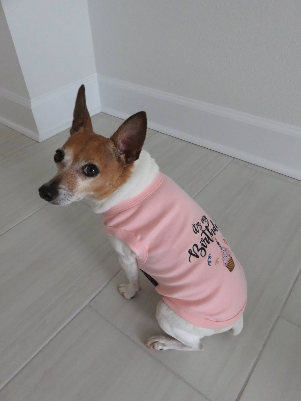 Birthday Girl Dog T-Shirt – Perfect for Dog Birthday Parties