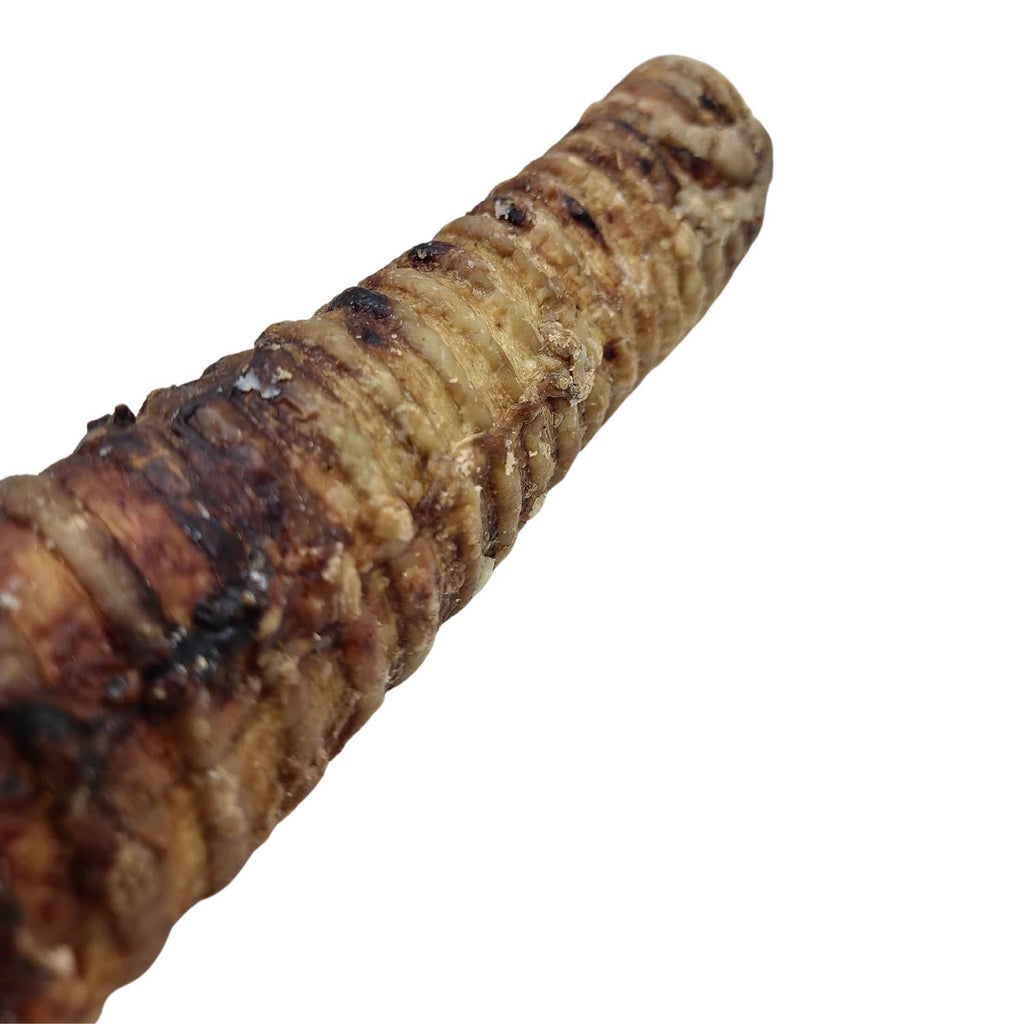12" Beef Trachea Dog Treat - Natural Dog Chews (5/Bag)