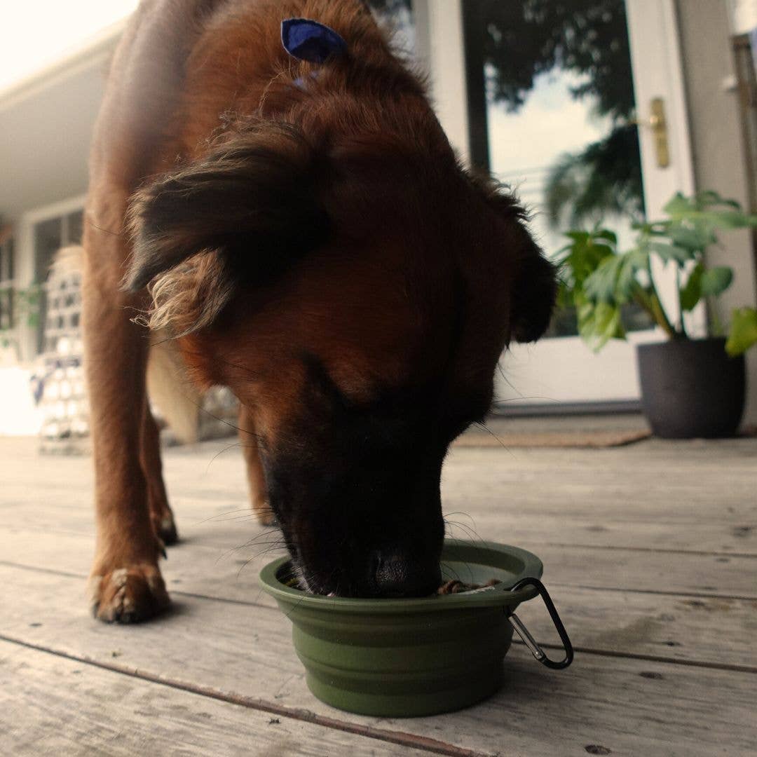 Desert Tones Travel Collapsible Pet Bowl with Carabiner Clip