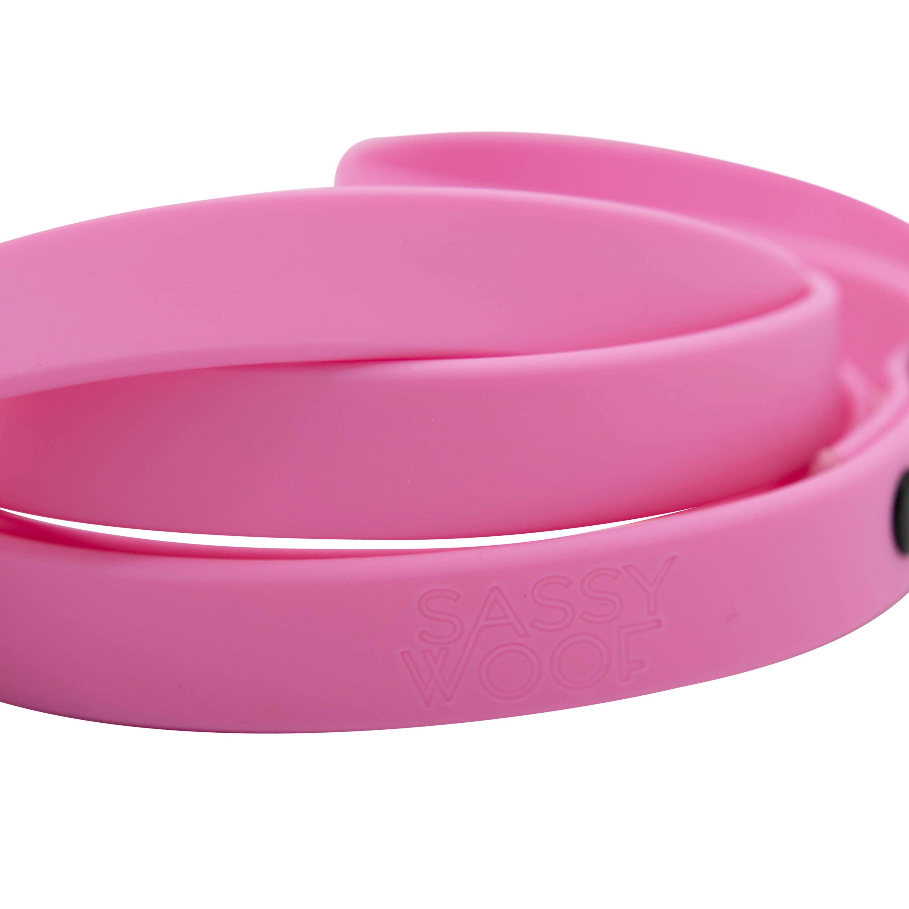 Dog Waterproof Leash - Pink