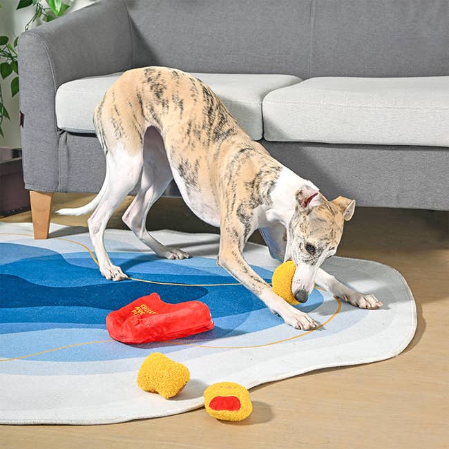 Chicken Nuggets -Interactive Toy
