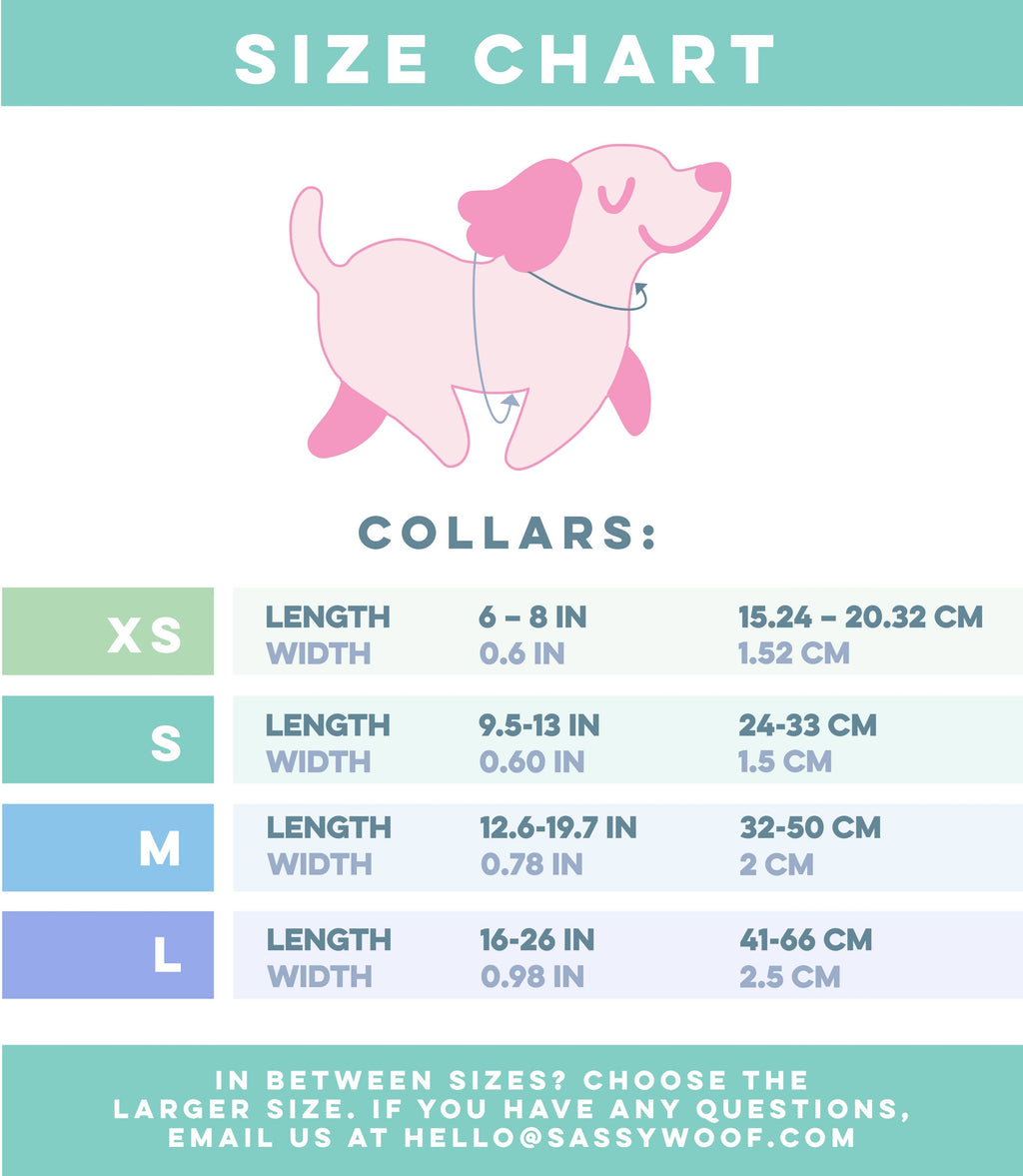 Dog Collar - Little Love