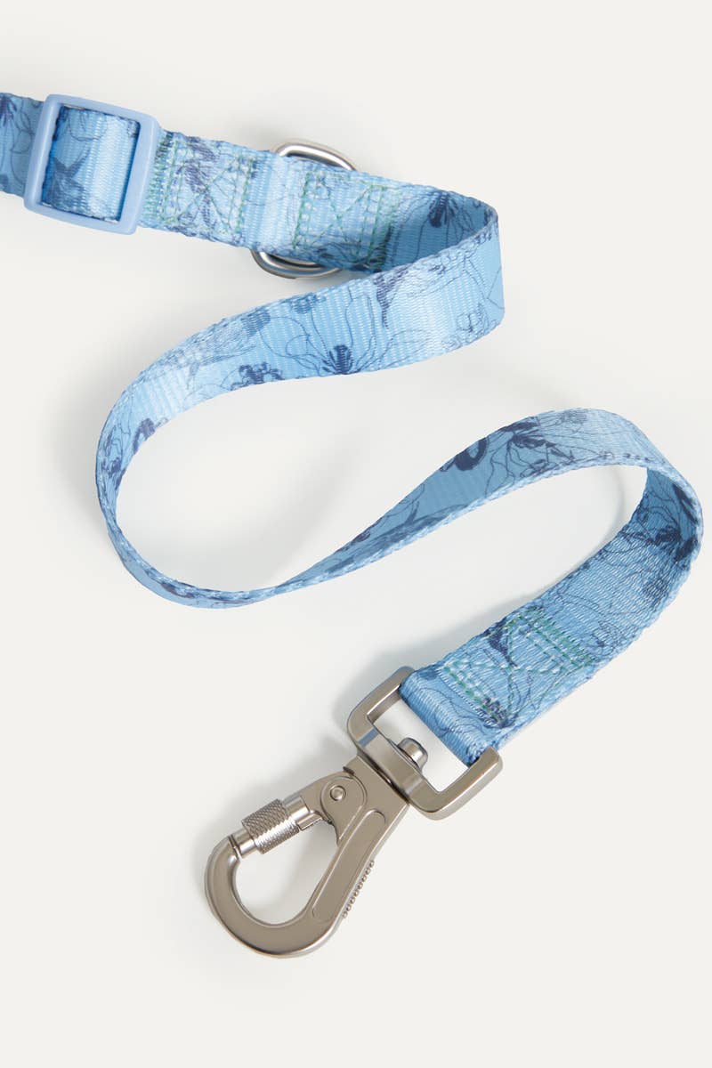 Bridgerton x maxbone Walk Set for Dogs: Medium