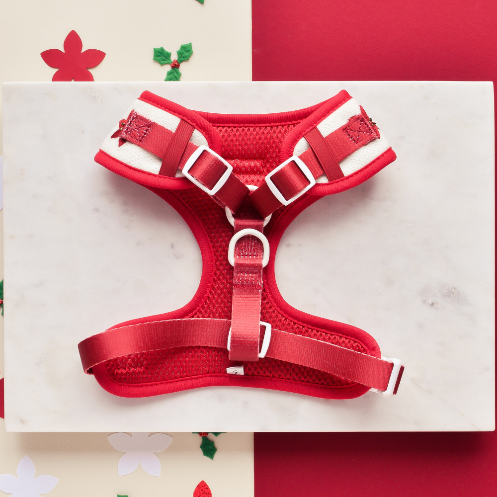 LUXE Embroidered Frosty Flower HARNESS