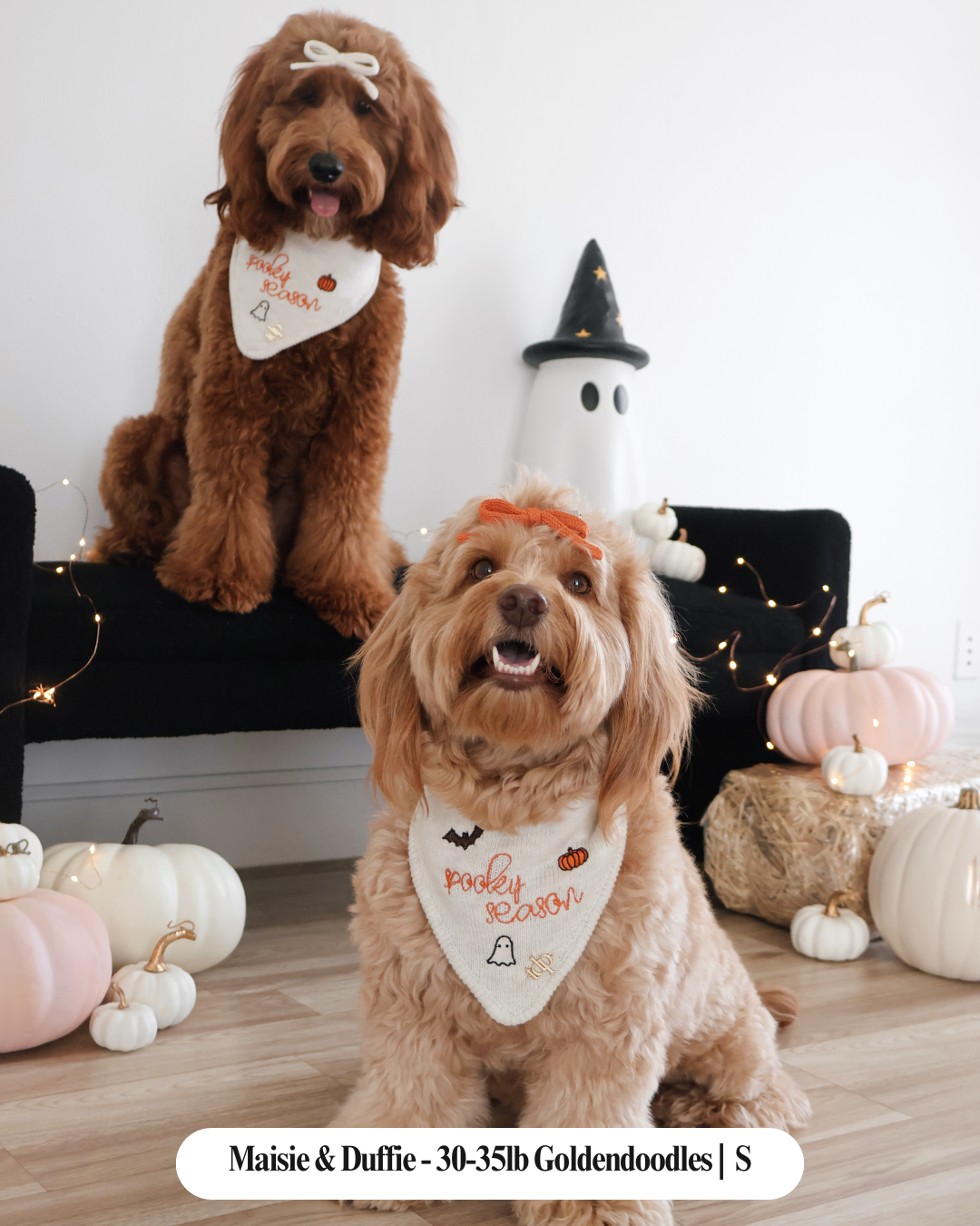 FALL DOG BANDANA | SPOOKY SEASON