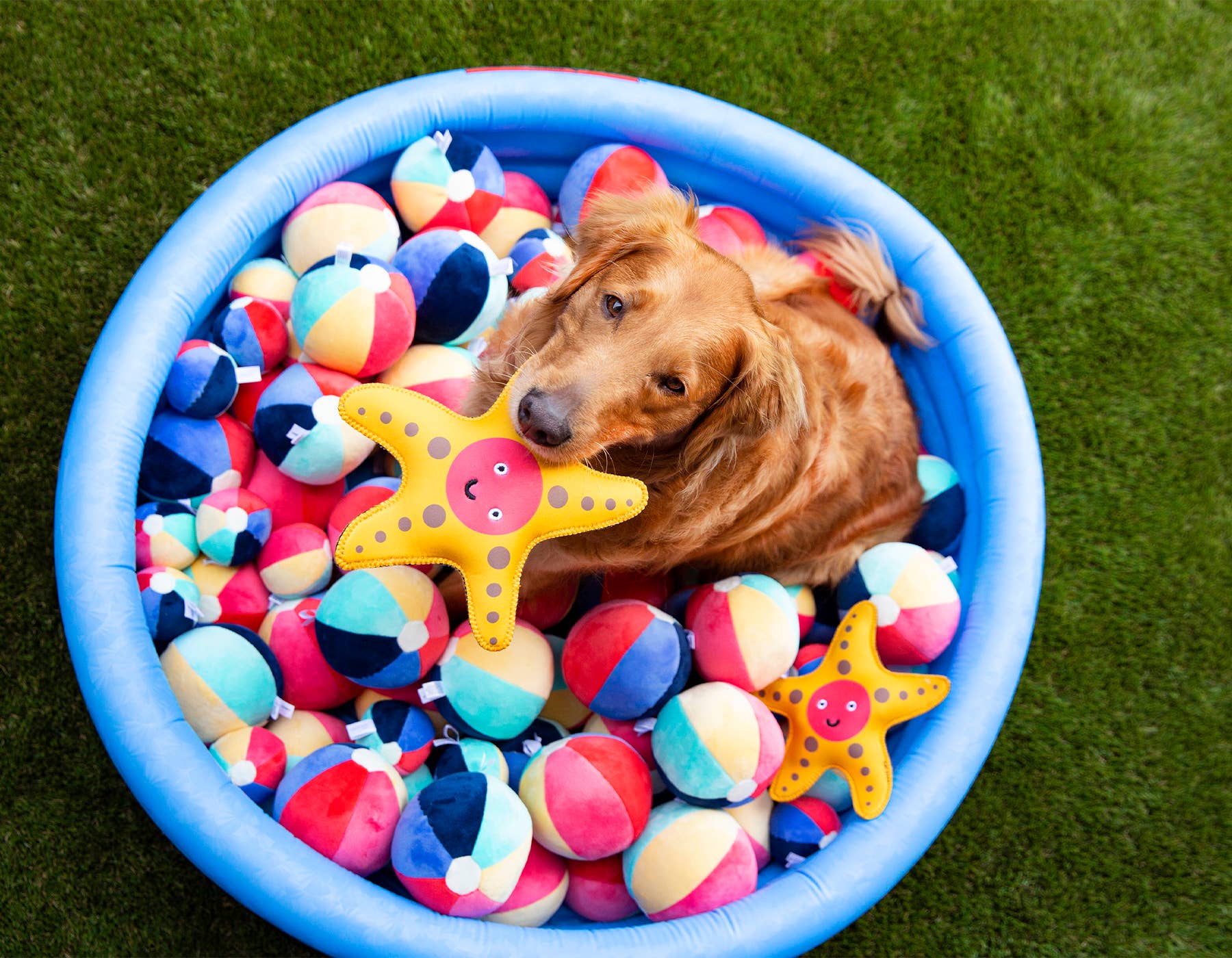 Beach Ball Plush Dog Toy w/Squeaker (Large - 5")