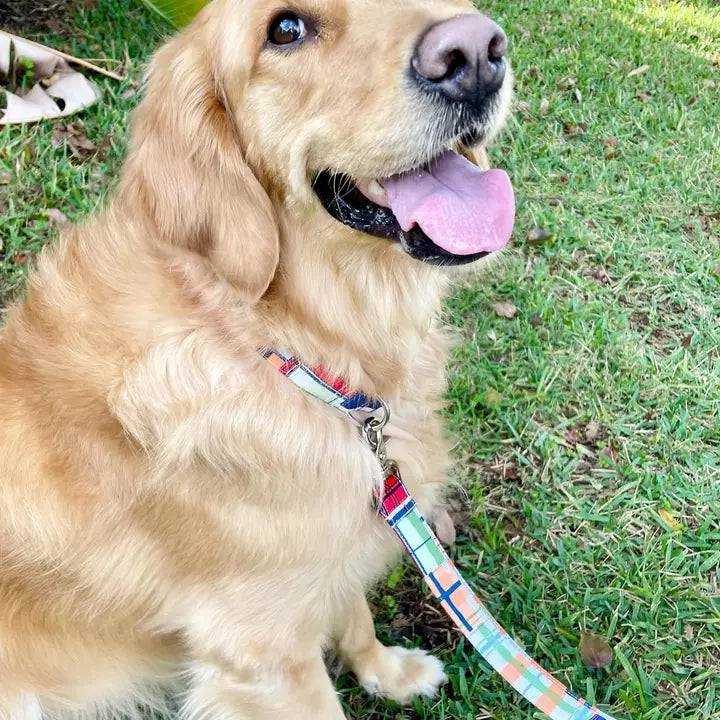 Blue Madras Collar and Leash Set