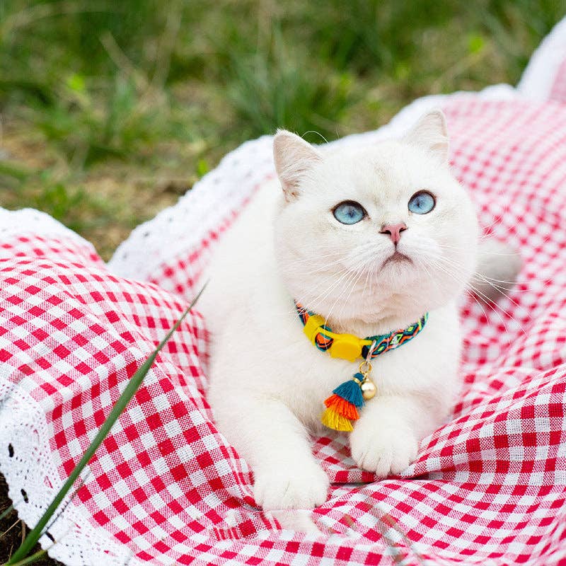 Mokka - Adjustable Collar with Bell