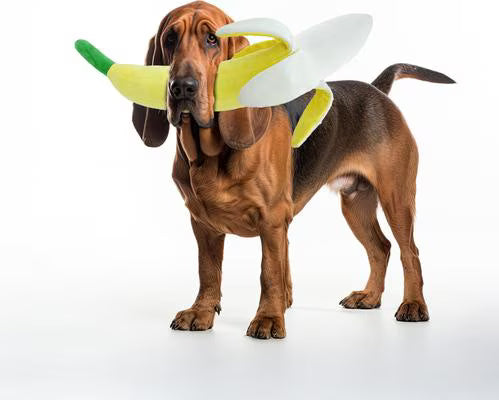 Petlou Banana