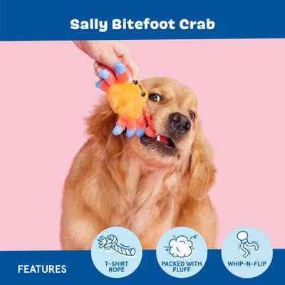 Sally Bitefoot Crab