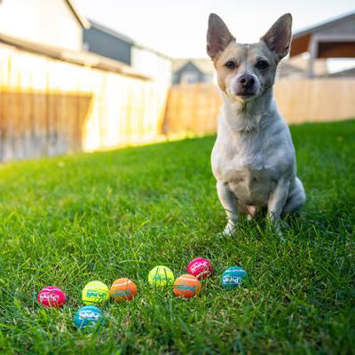 Outward Hound Squeaker Balls X-Small Dog Toys