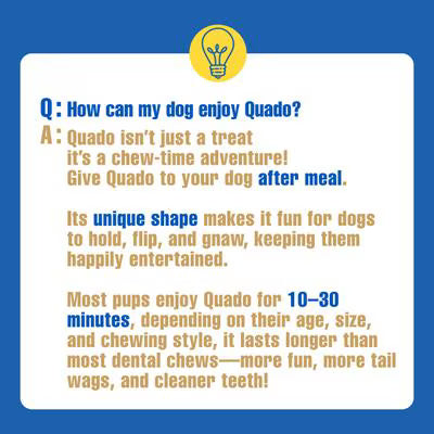 N-Bone Quado Interactive Bacon Flavored Medium Dental Dog Treat
