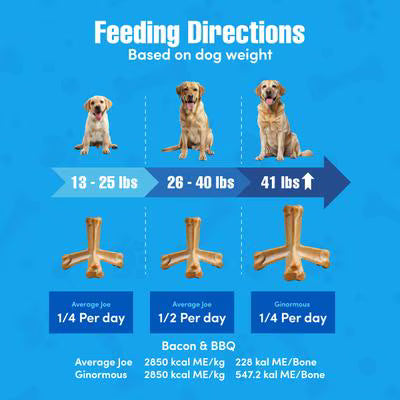 N-Bone Quado Interactive Bacon Flavored Medium Dental Dog Treat