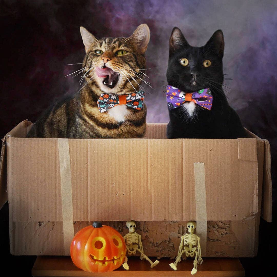 Halloween Bow Tie