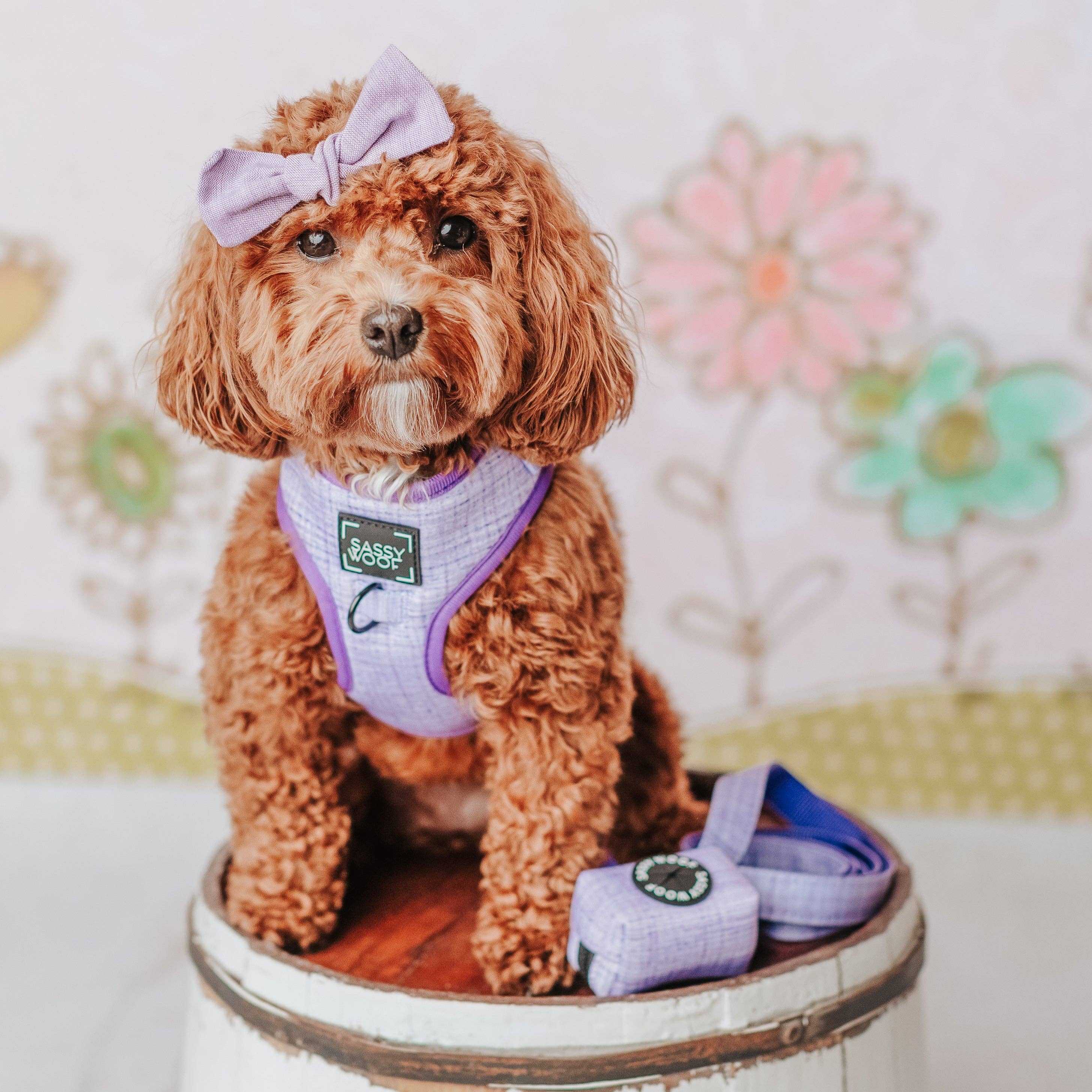 Dog Waste Bag Holder - Aurora