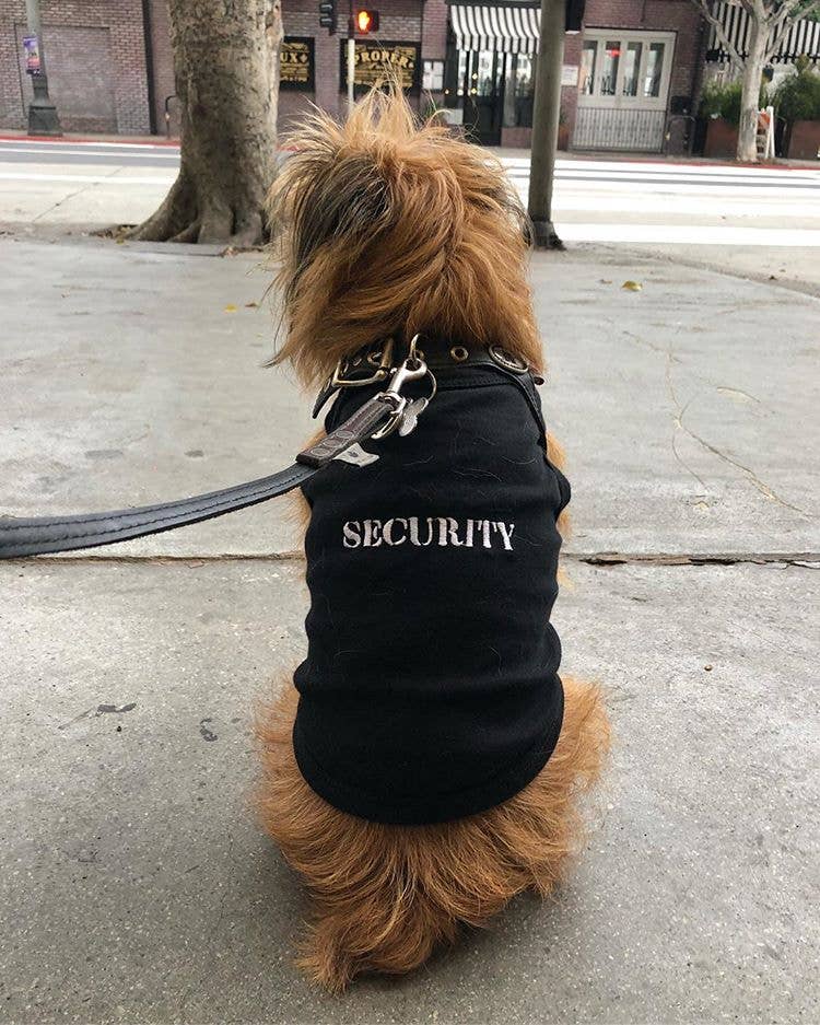 Security® Dog T-Shirt